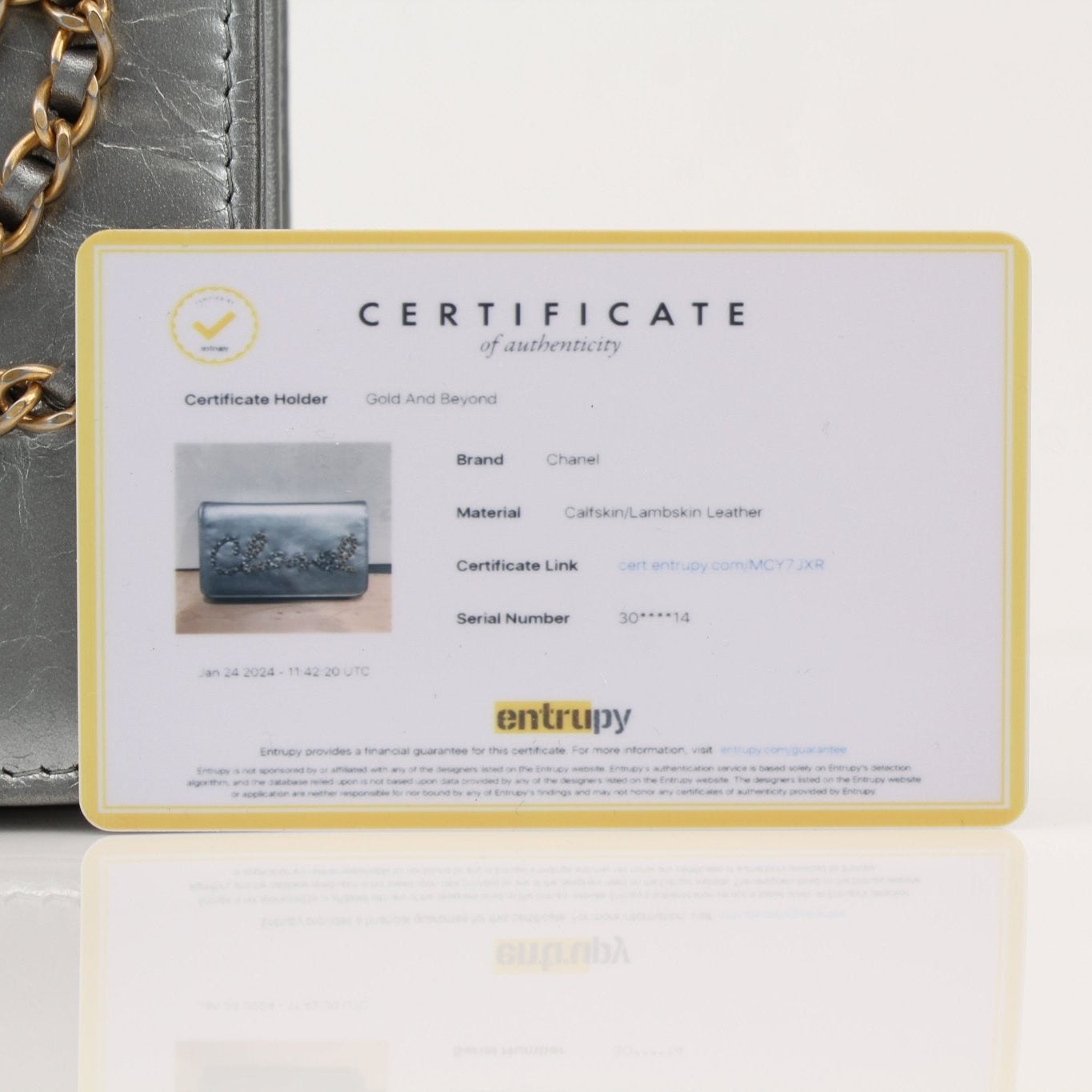 Gold & Beyond Chanel 20s Signature Wallet on Chain handbag with quilted design and gold-tone hardware.
