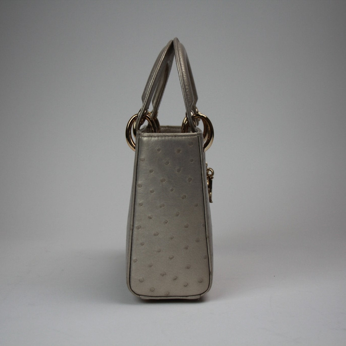 Gold & Beyond Dior Lady Dior Mini Handbag with signature quilted design and top handle, stylish accessory for elegant occasions.