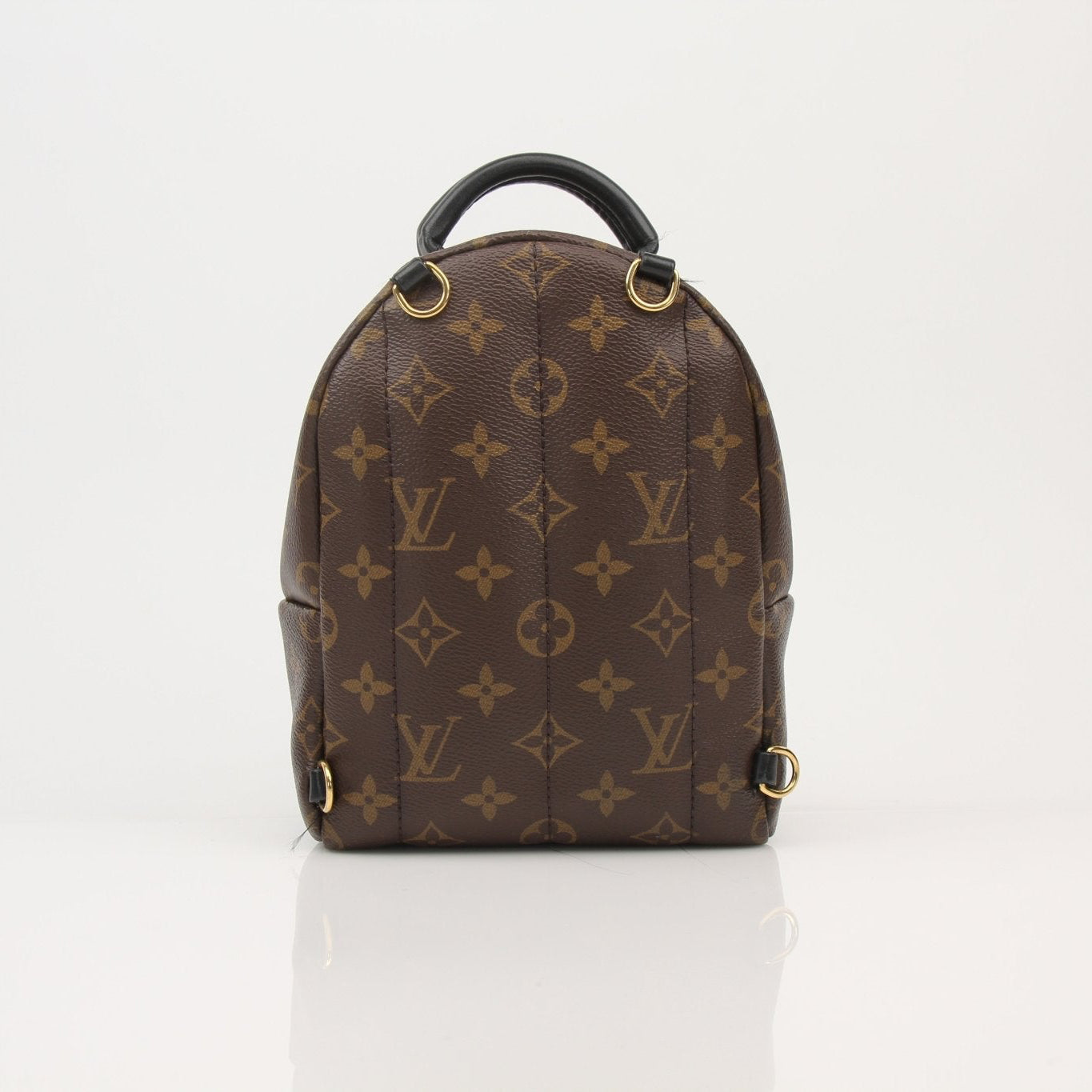 Louis Vuitton Palm Springs Mini Backpack handbag with gold hardware, showcasing the stylish design and compact size.