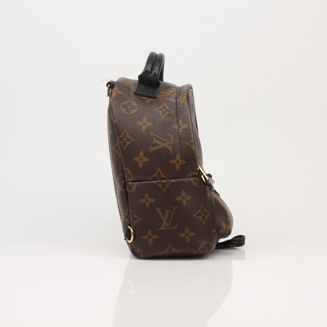 Louis Vuitton Palm Springs Mini Backpack handbag with Gold & Beyond branding, featuring a sleek design and signature monogram pattern.
