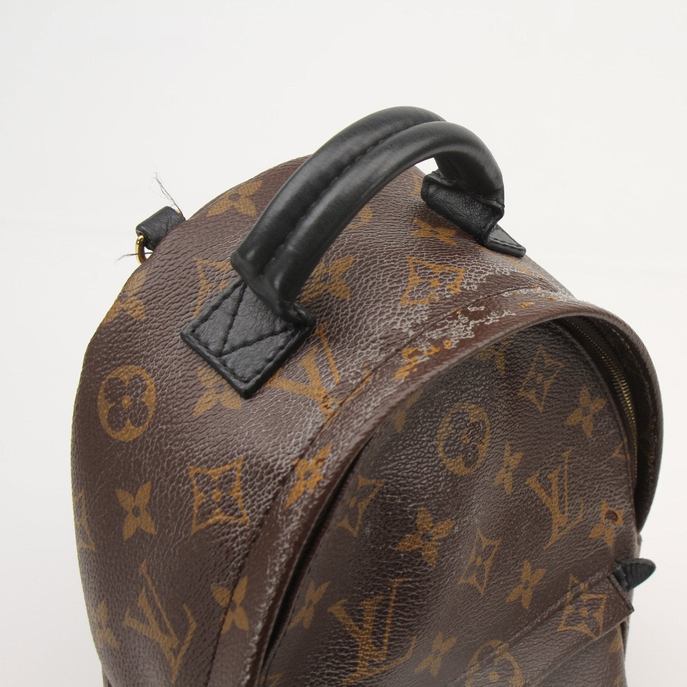 Gold & Beyond Louis Vuitton Palm Springs Mini Backpack handbag with signature monogram canvas and leather accents.