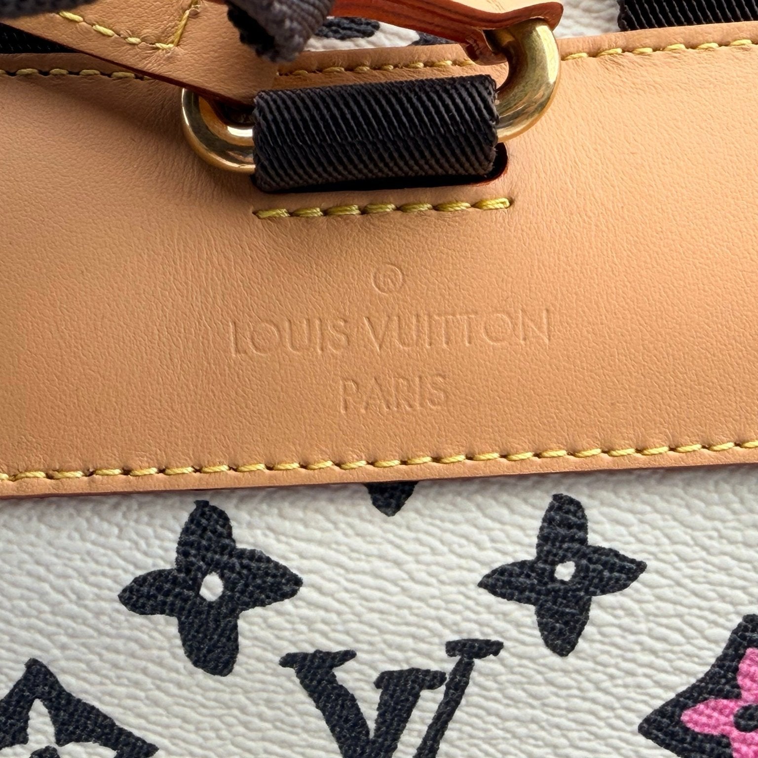 Louis Vuitton Christopher backpack in travel bag style with gold accents, featuring leather straps and spacious interior.