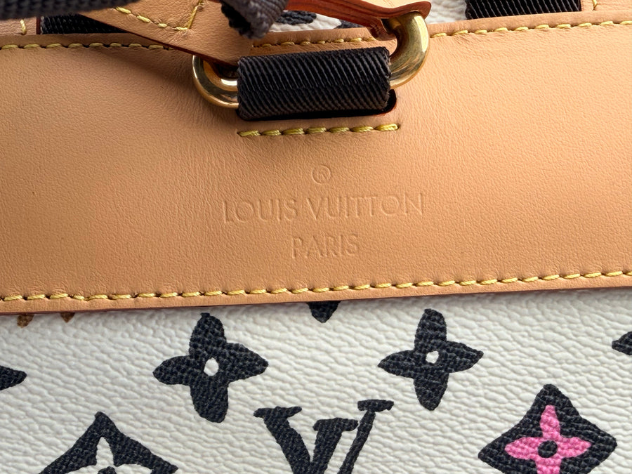 Louis Vuitton Christopher Backpack – Pristine Condition