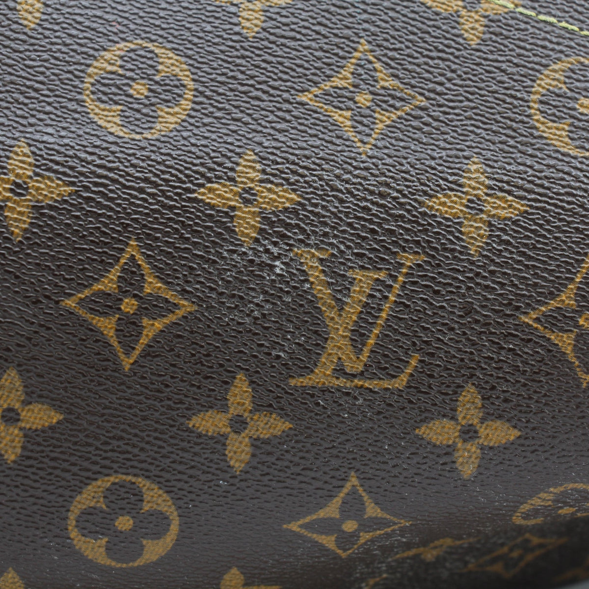 .jpg