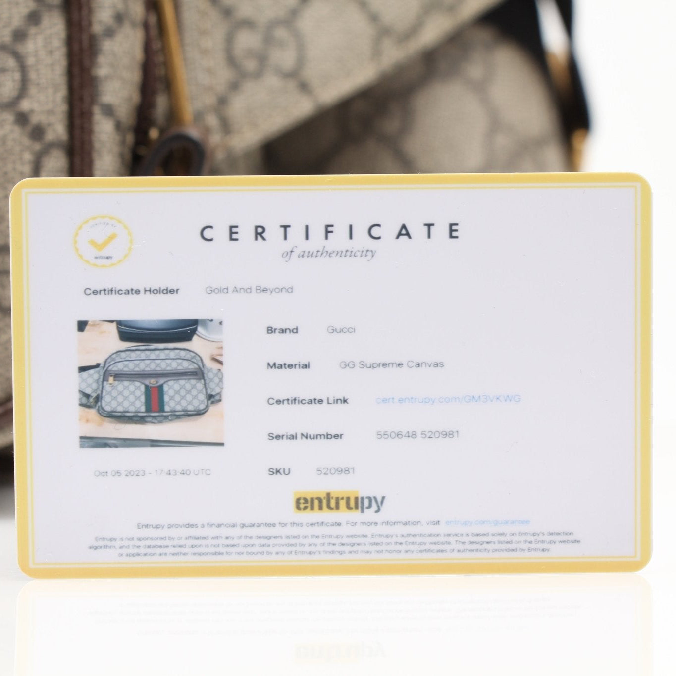 Gucci GG Ophidia belt bag by Gold & Beyond, stylish handbag with signature logo and classic design, front view.