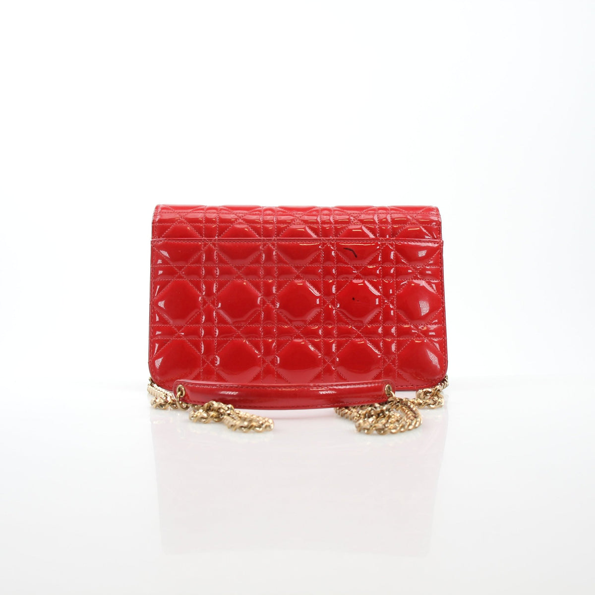 Christian Dior Miss Dior Promenade Chain Handbag with gold-tone chain and floral design, crafted by Gold & Beyond.