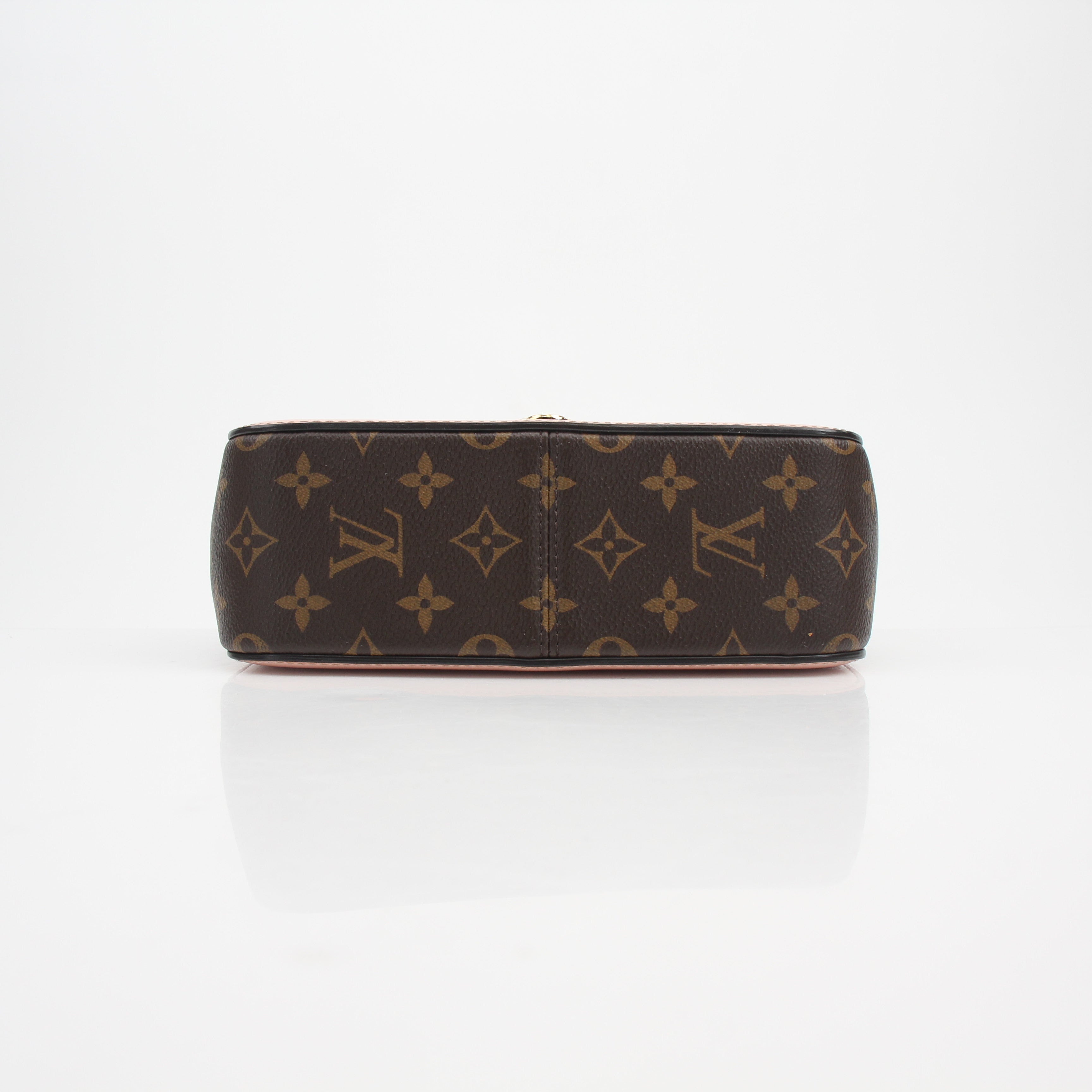 Louis Vuitton Cherrywood Ballerine Monogram Vernis Handbag