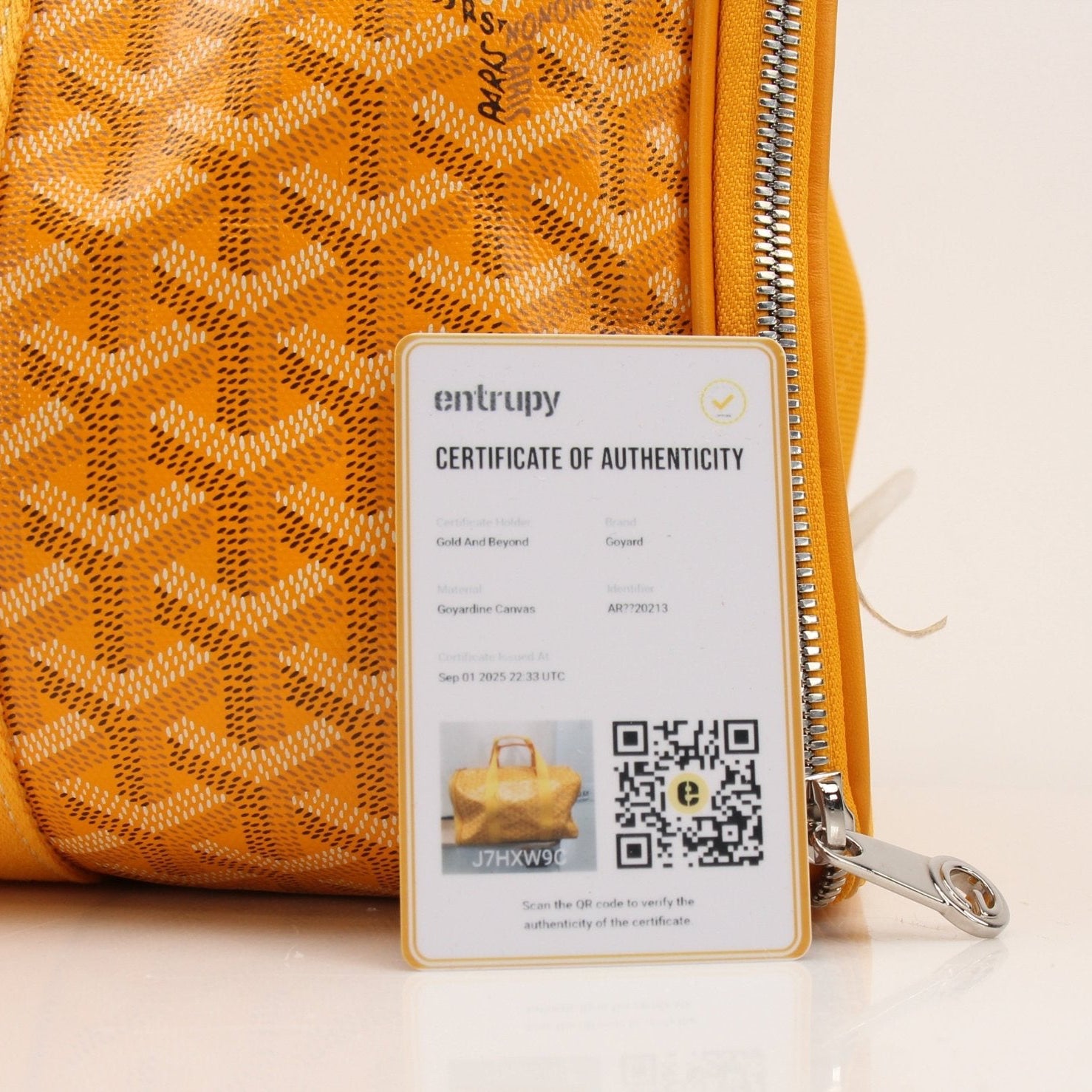 Gold & Beyond Goyard Voltiguer dog carrier travel bag with handle and fabric exterior for pet transport.