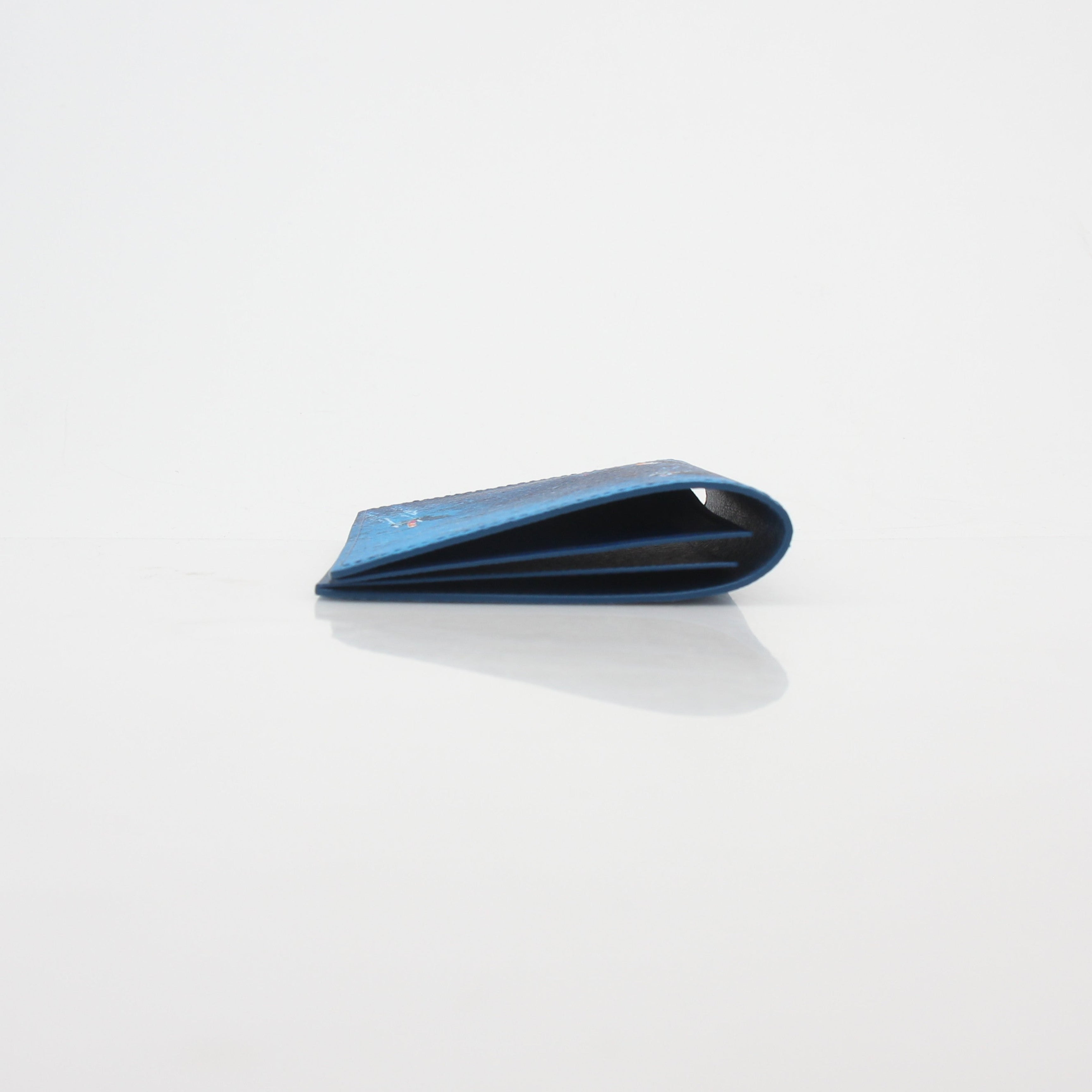 Louis Vuitton Blue Monogram Catamaran Passport Cover