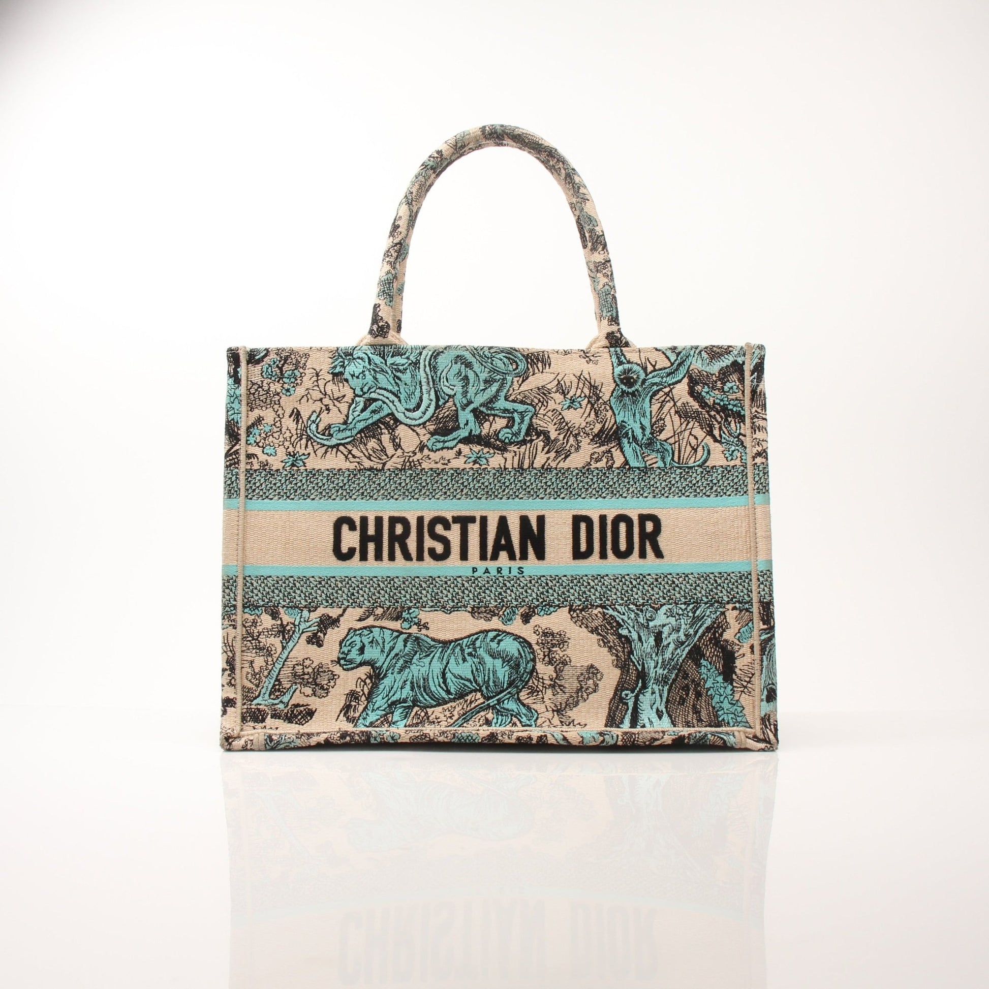 Christian Dior Book Tote handbag with gold accents, showcasing its spacious design and elegant style.