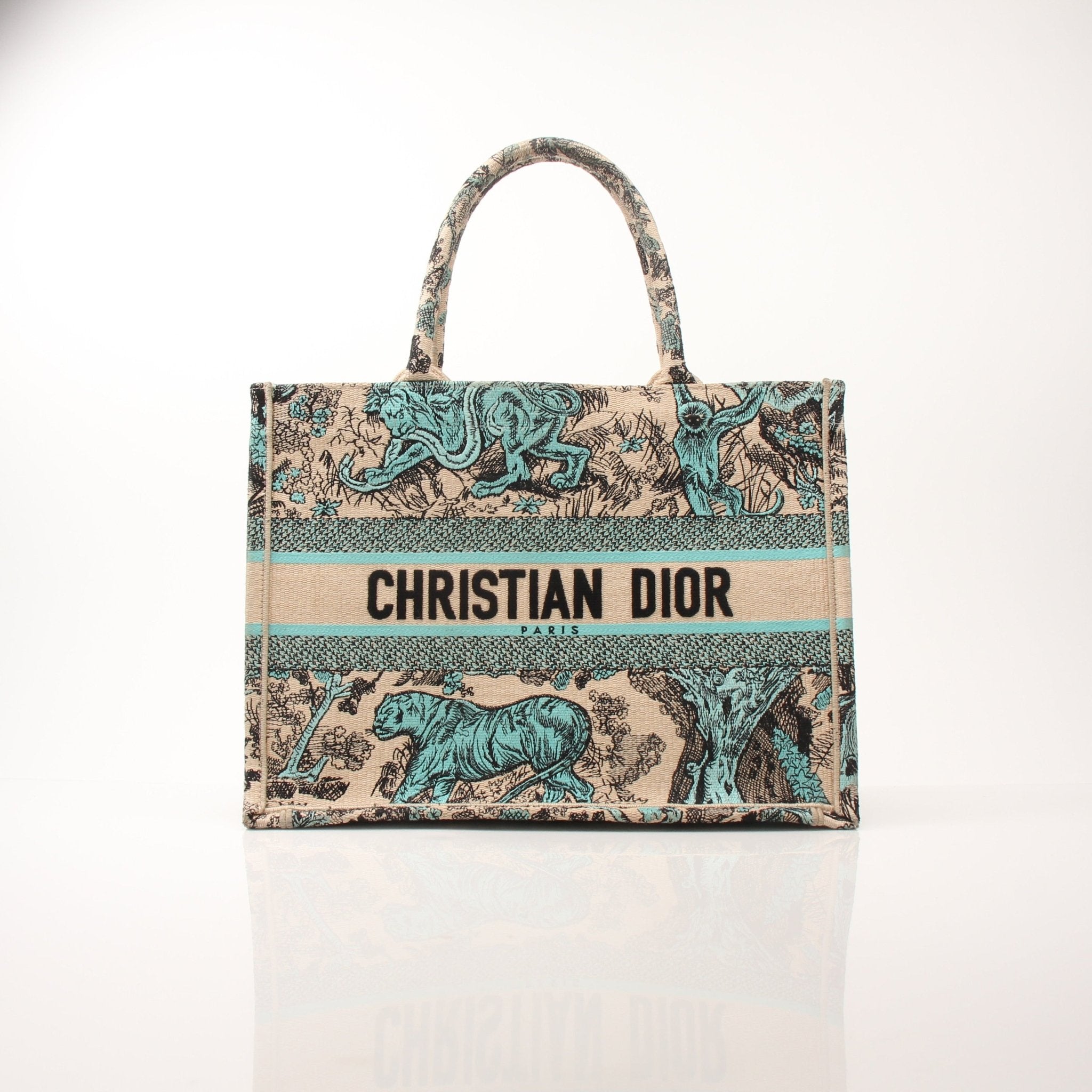 Christian Dior Book Tote handbag with gold accents, showcasing its spacious design and elegant style.