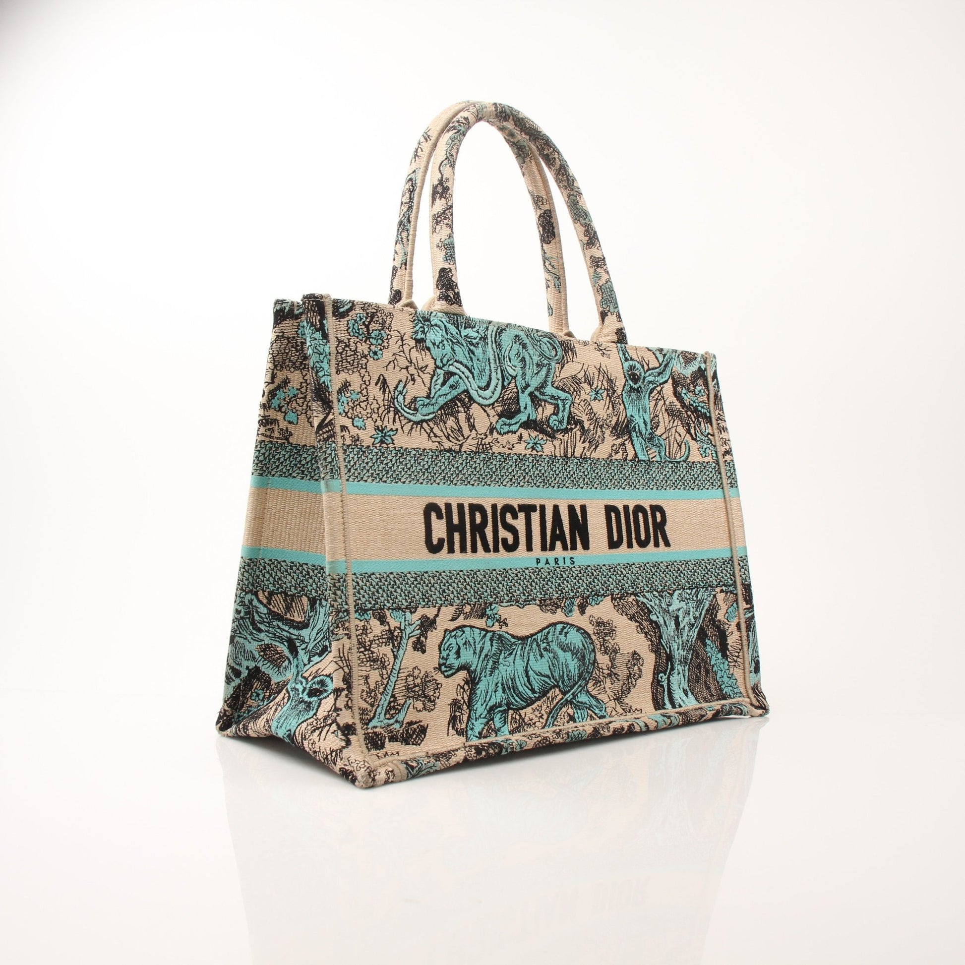 Christian Dior Book Tote handbag with gold accents and intricate design, stylish accessory for everyday or special occasions.