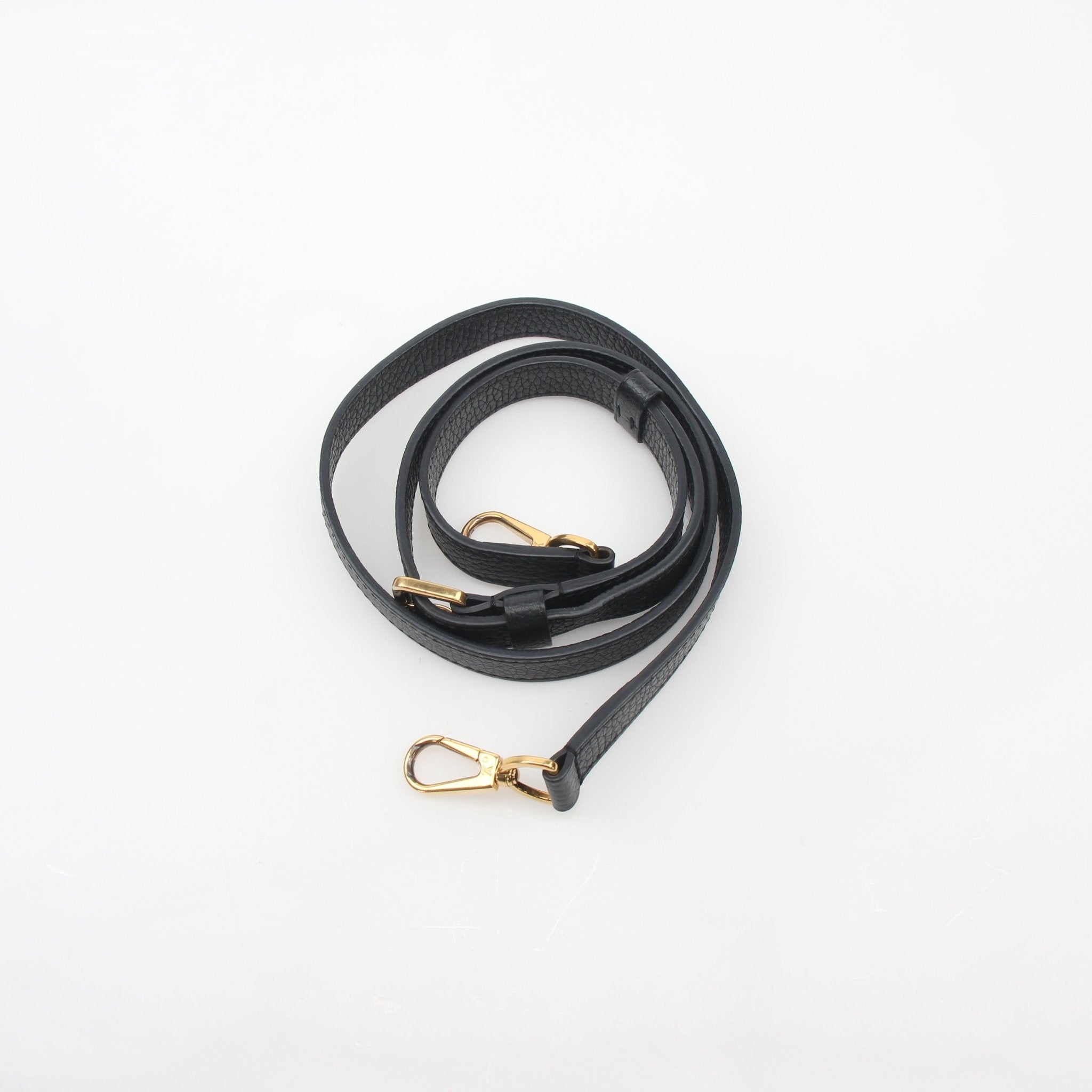 Louis Vuitton Capucines PM handbag with mechanical flowers, black leather, gold hardware, and elegant design by Gold & Beyond