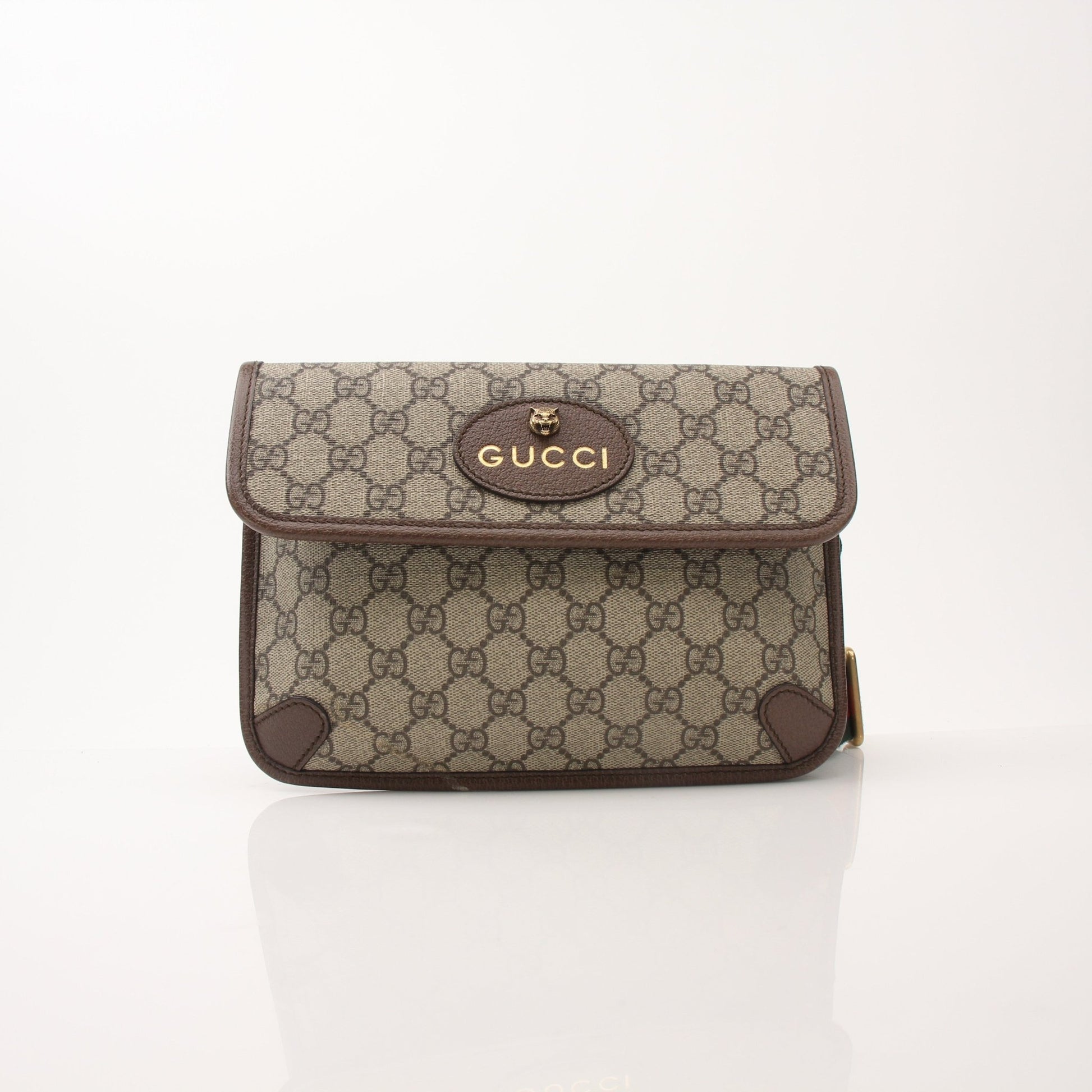 Gold & Beyond Gucci Web Belt Bag handbag with adjustable strap and signature logo design, stylish accessory for everyday wear.