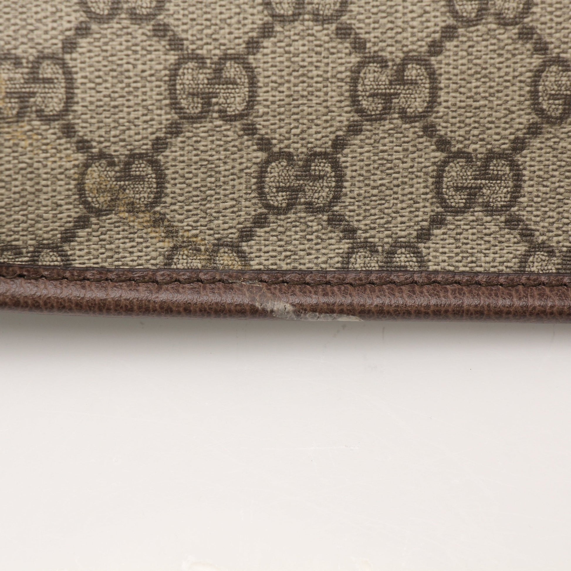 Gold & Beyond Gucci Web Belt Bag handbag with adjustable strap and signature logo design, styled for casual or chic outfits.