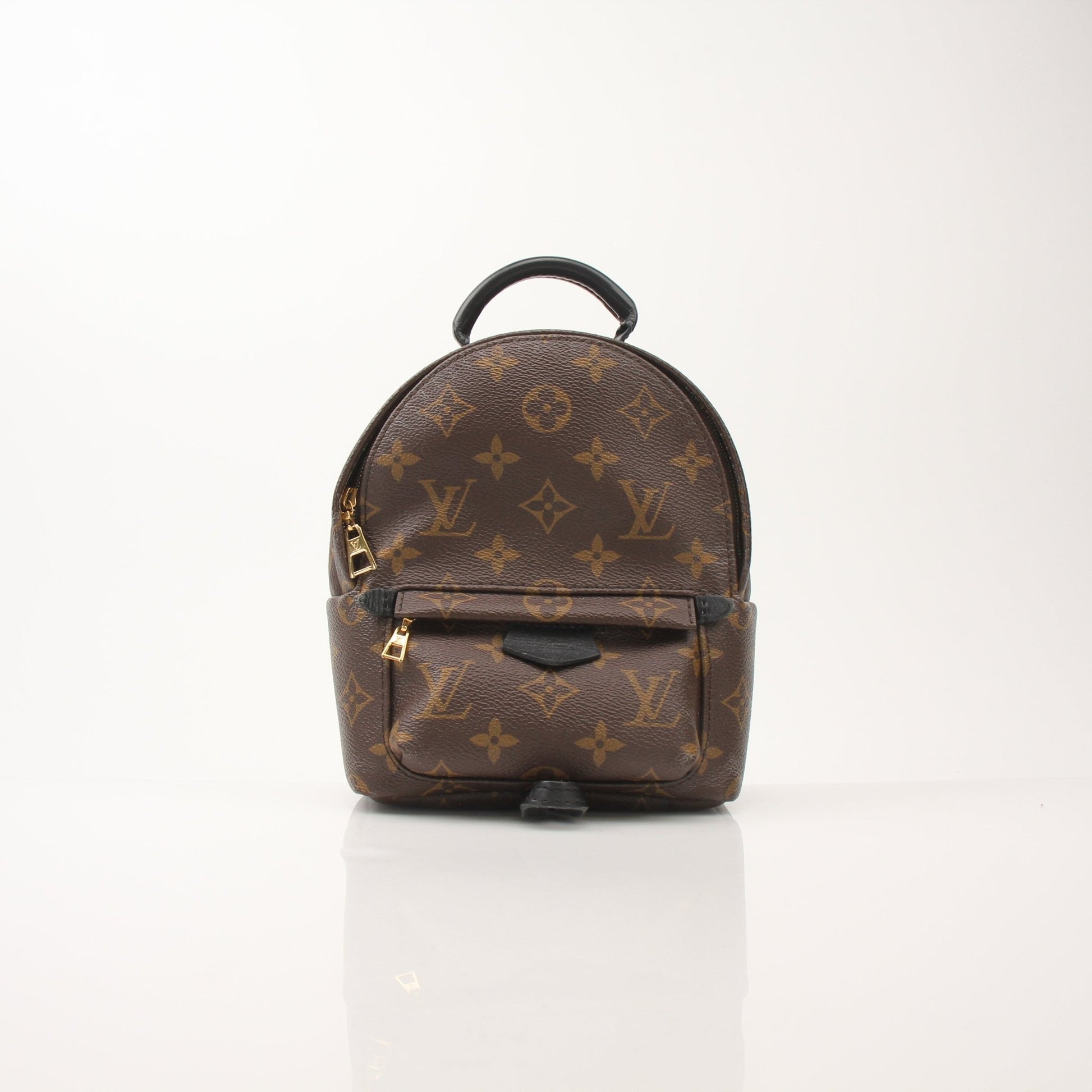 Louis Vuitton Palm Springs Mini Backpack handbag with tan leather accents and adjustable straps, displayed on a neutral background.