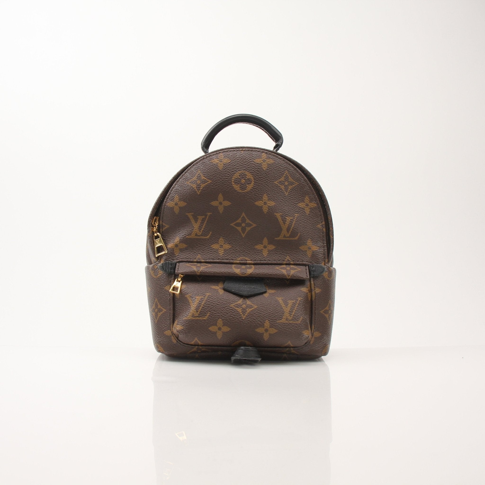 Louis Vuitton Palm Springs Mini Backpack handbag with tan leather accents and adjustable straps, displayed on a neutral background.