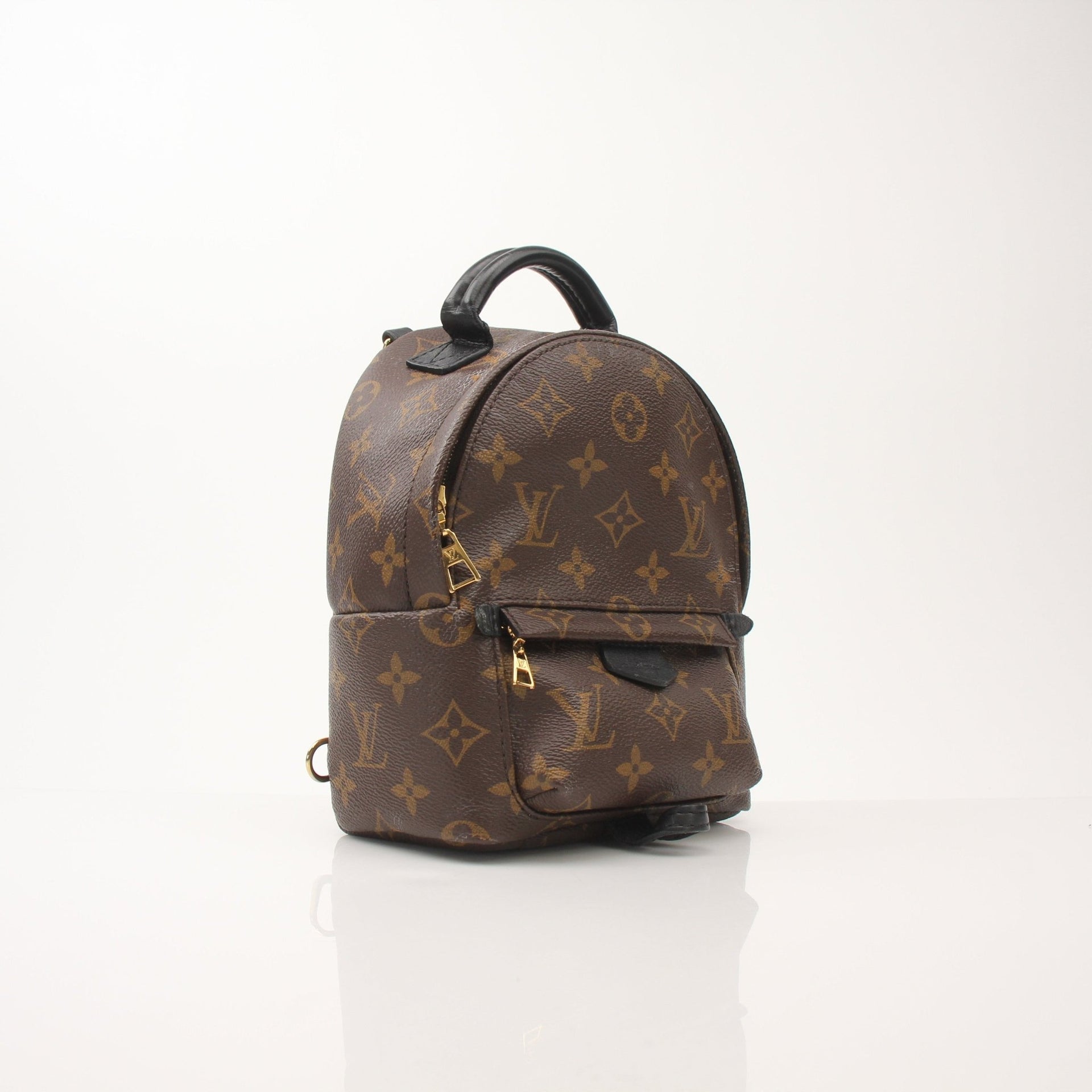 Louis Vuitton Palm Springs Mini Backpack – Gold & Beyond