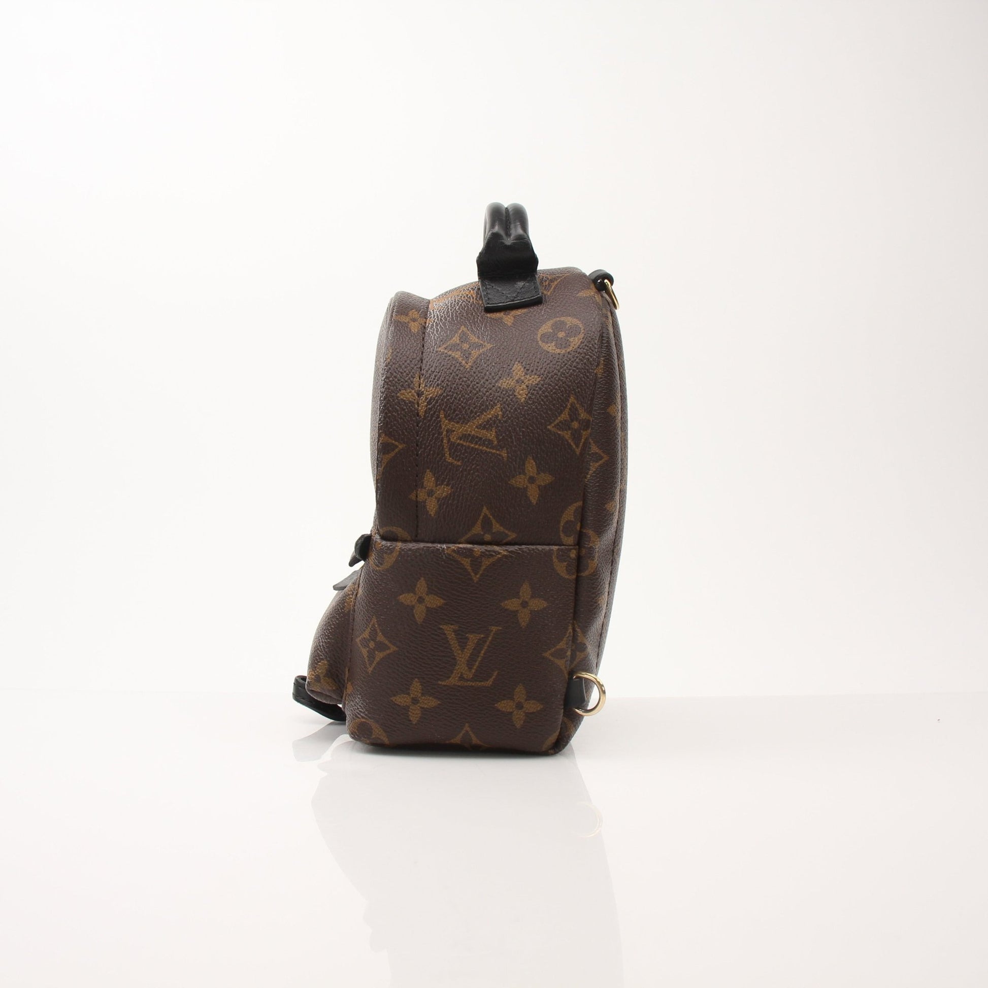Louis Vuitton Palm Springs Mini Backpack handbag by Gold & Beyond, featuring signature monogram canvas and adjustable straps.