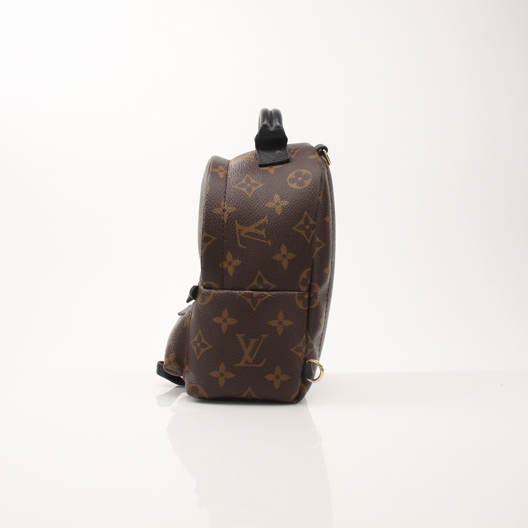 Louis Vuitton Palm Springs Mini Backpack handbag by Gold & Beyond, featuring signature monogram canvas and adjustable straps.
