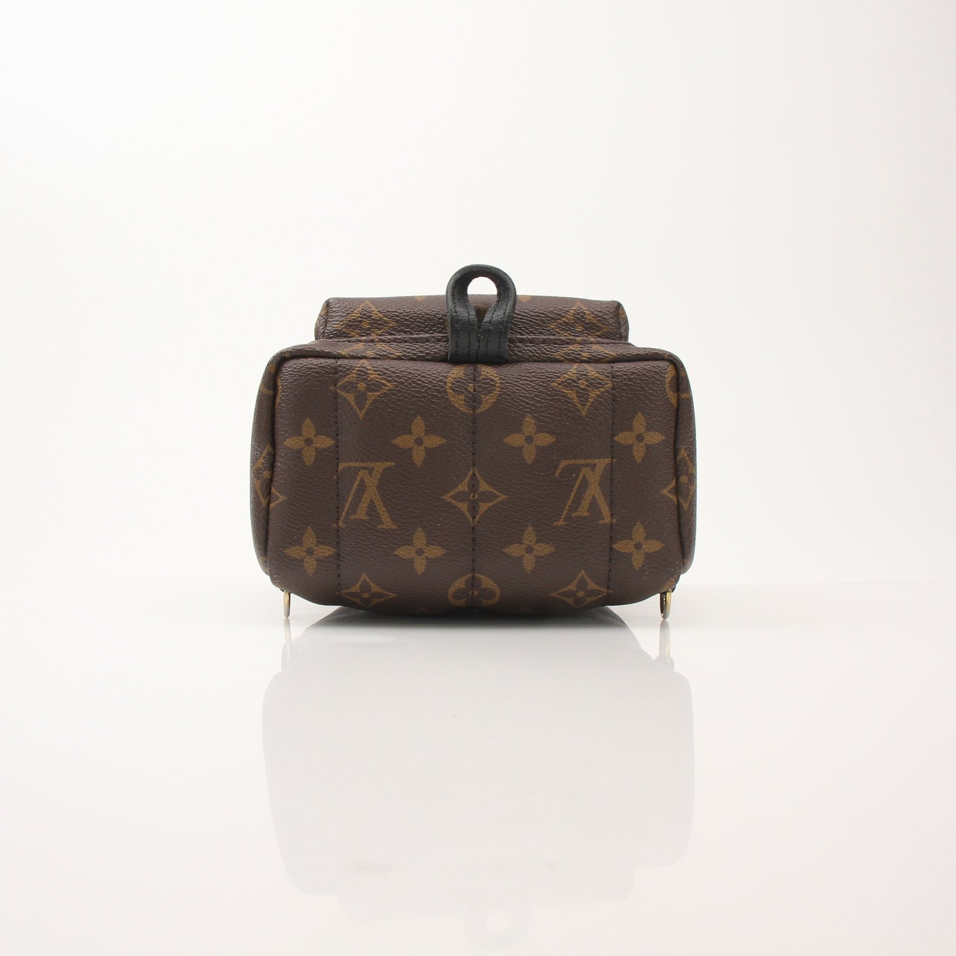 Louis Vuitton Palm Springs Mini Backpack – Gold & Beyond