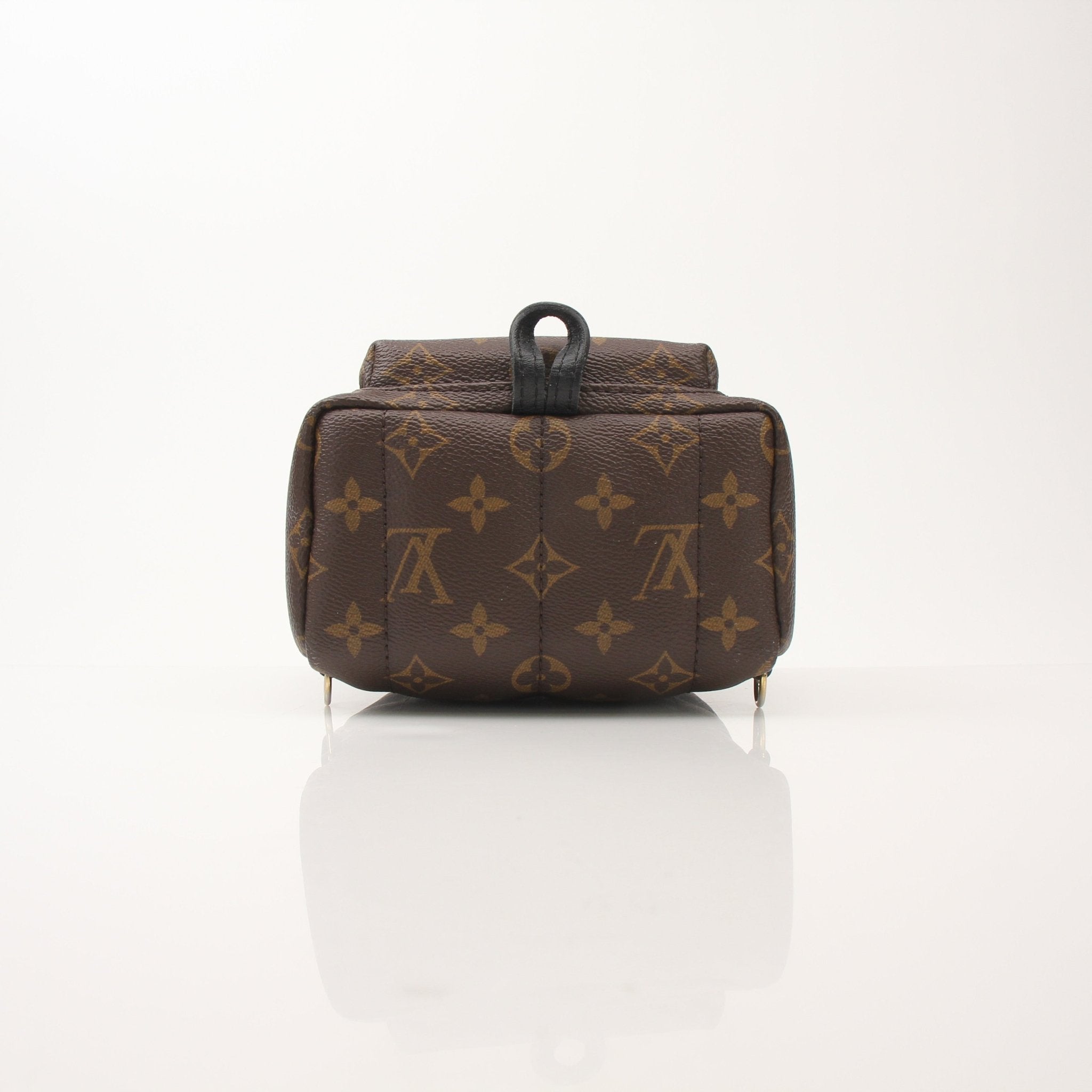 Louis Vuitton Palm Springs Mini Backpack handbag with monogram canvas, gold-tone hardware, and adjustable straps.