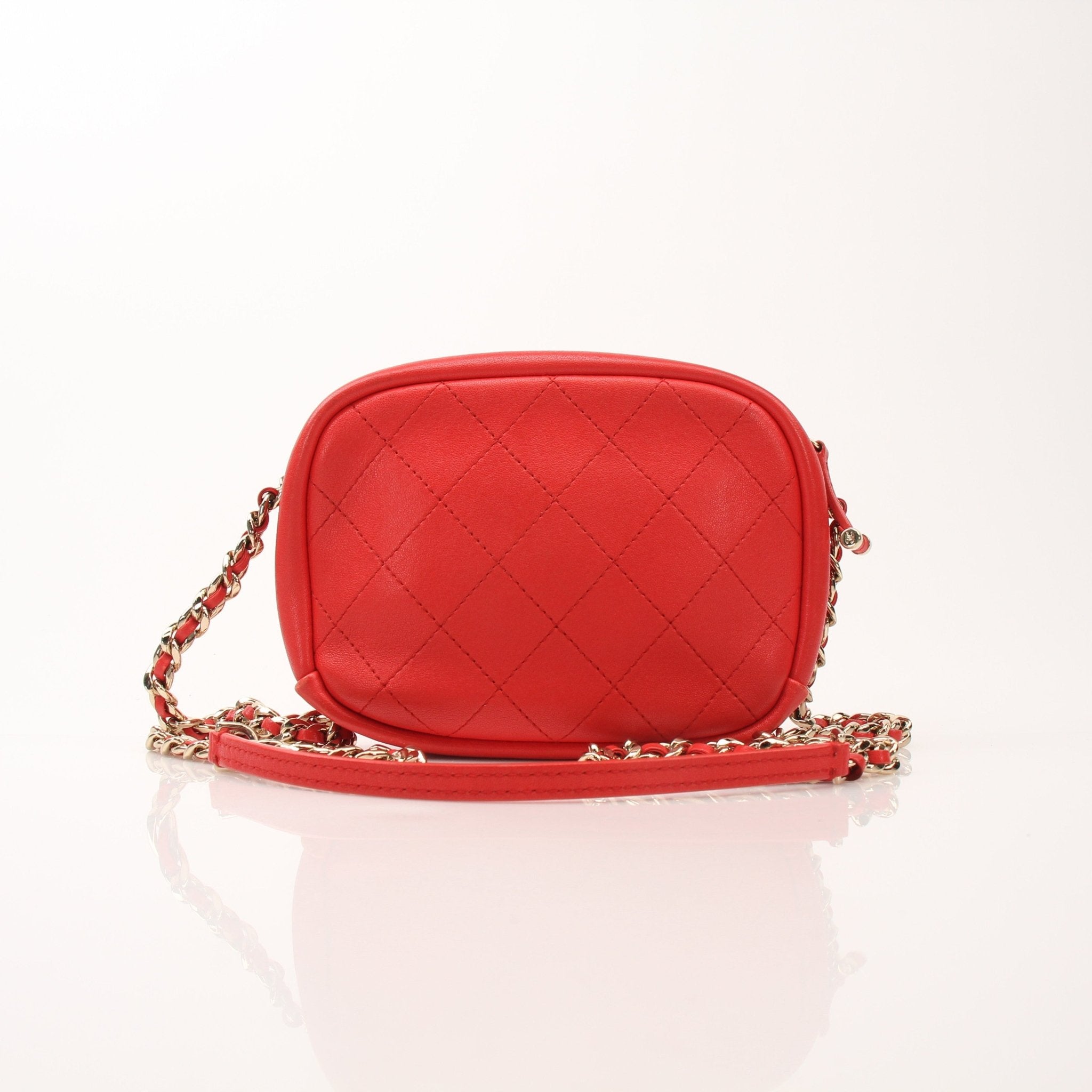Gold & Beyond Chanel quilted goatskin casual trip camera handbag with gold chain strap and quilted design, showcasing its stylish exterior.