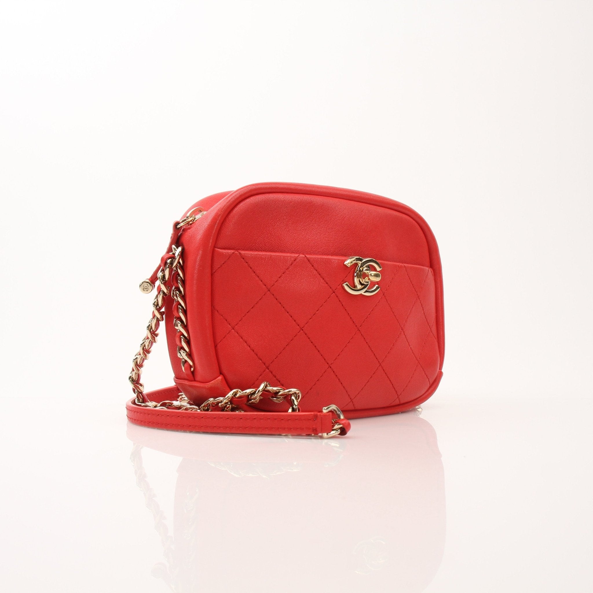 Gold & Beyond Chanel Quilted Goatskin casual trip camera handbag with quilted pattern and gold accents.