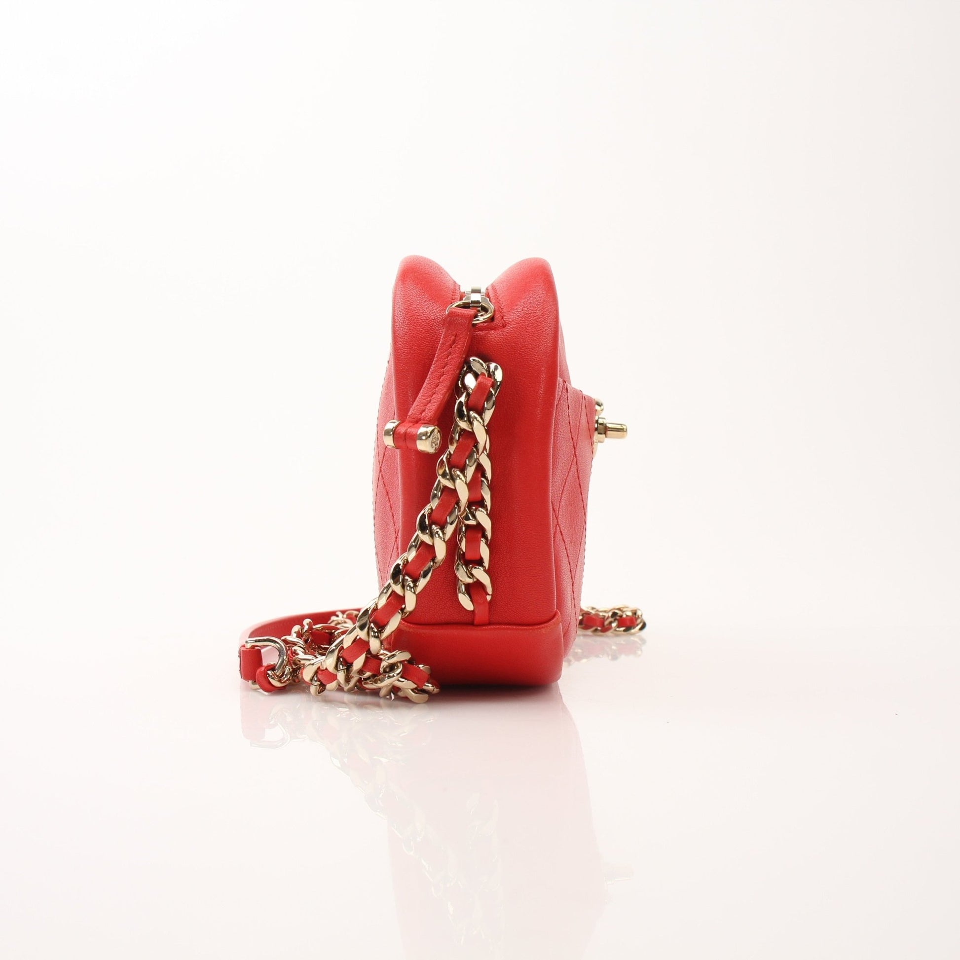 Gold & Beyond Chanel Quilted Goatskin Casual Trip Camera Handbag with gold-tone hardware and quilted pattern.