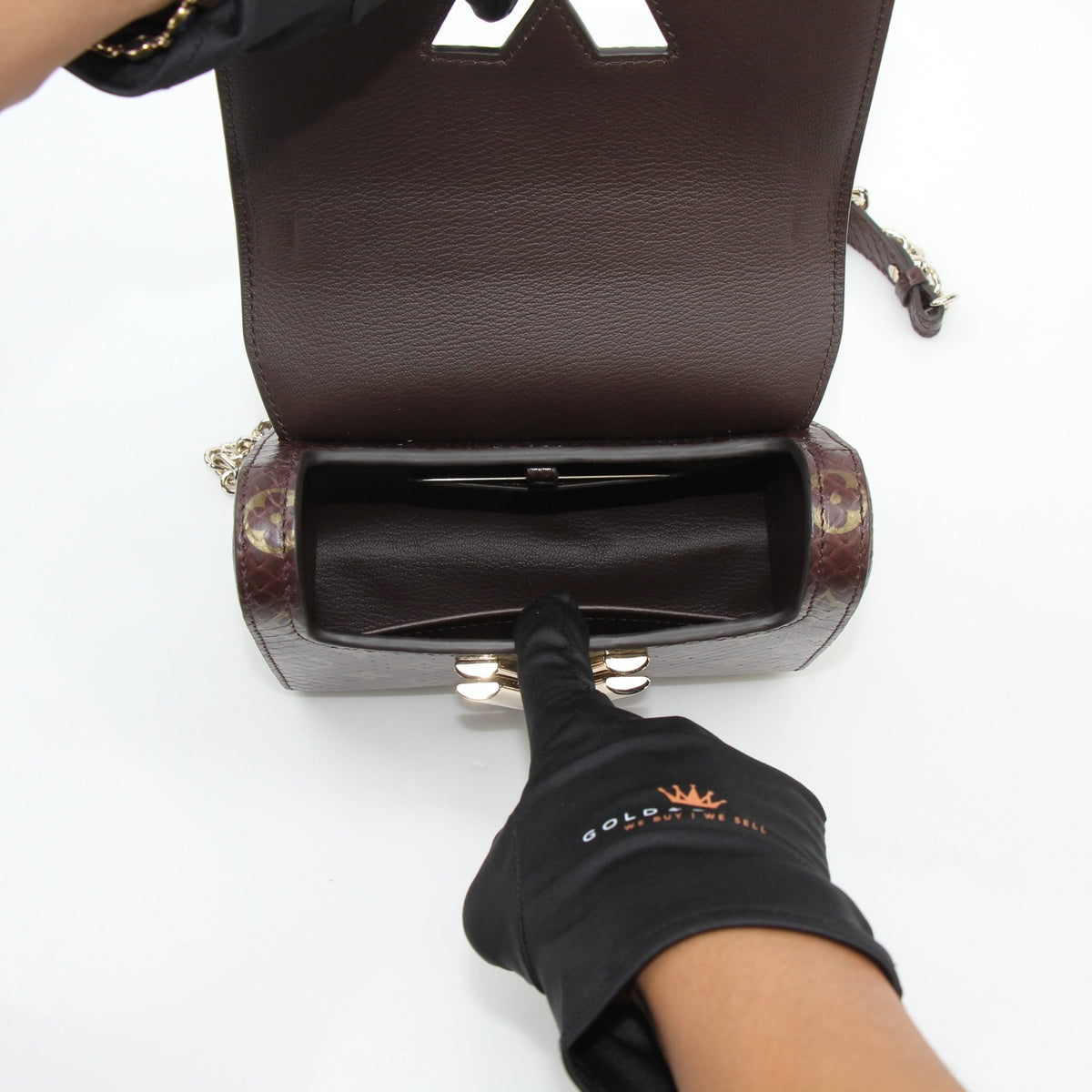 Louis Vuitton brown Monogram Python Twist PM crossbody handbag with gold accents, showcasing textured python pattern and elegant design.