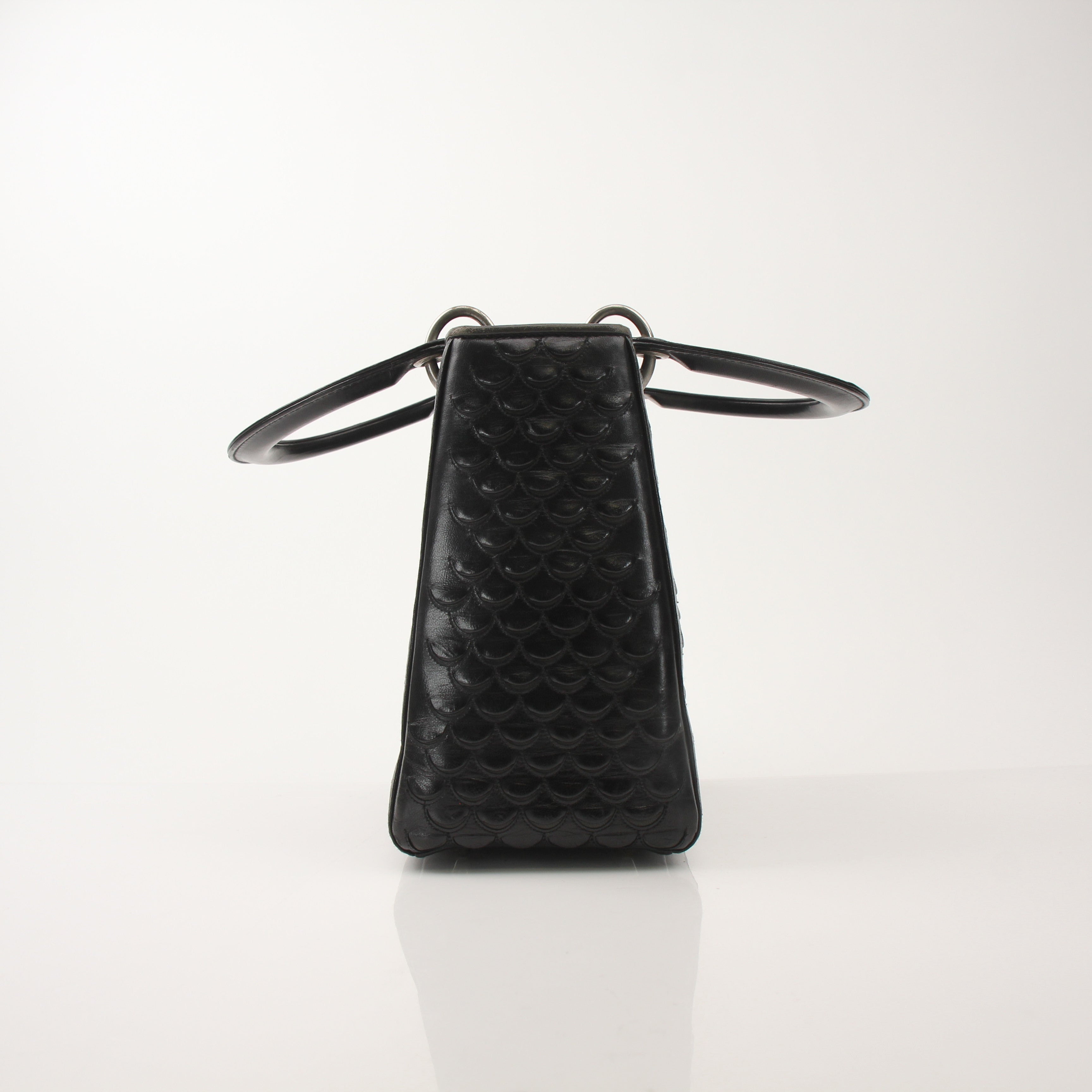 Christian Dior Python Lady Dior Bag