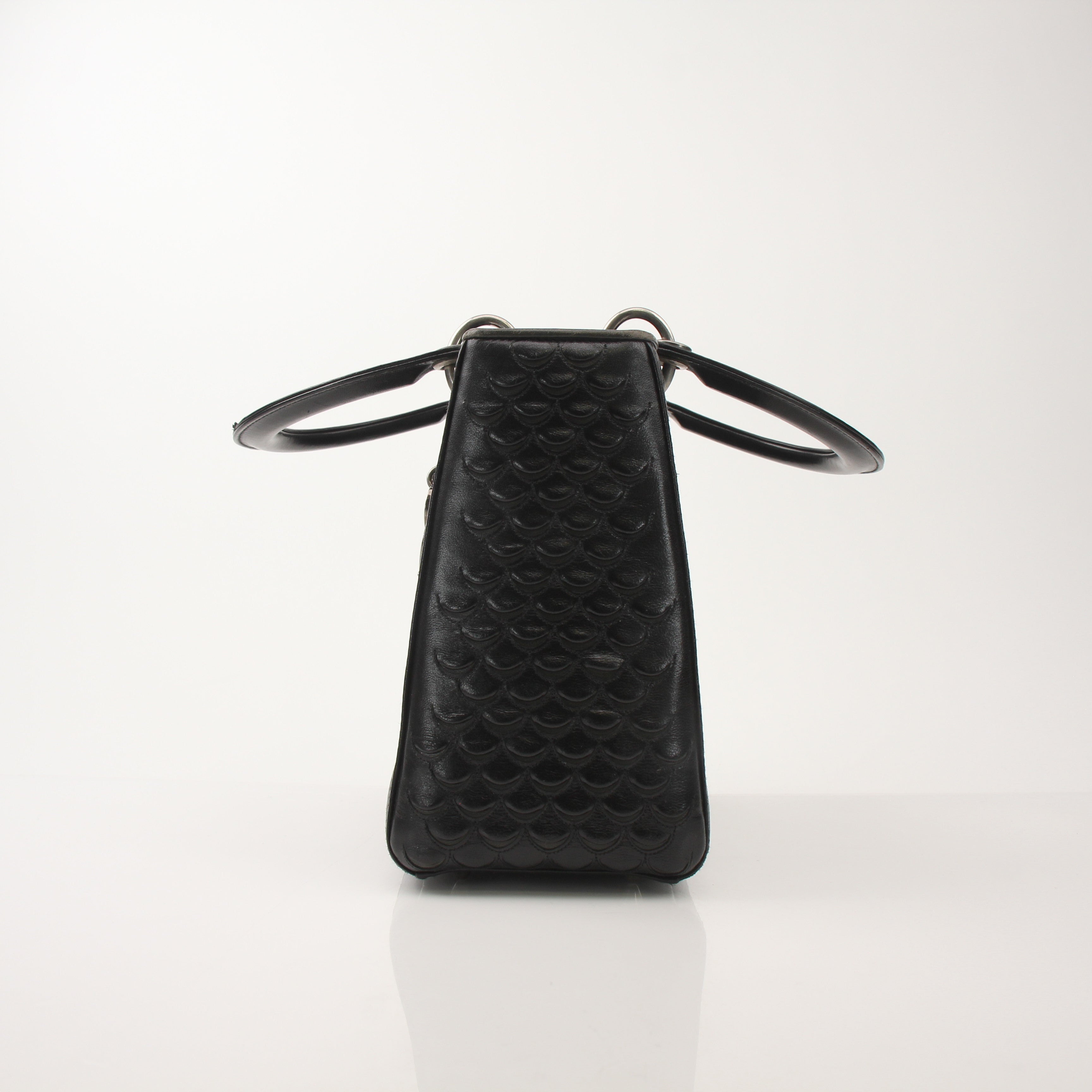 Christian Dior Python Lady Dior Bag
