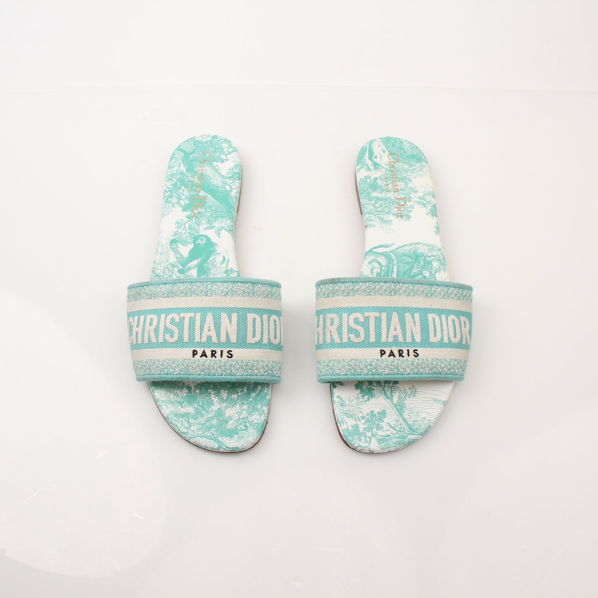 Christian Dior women's aquamarine D-Way slide sandals with gold accents, featuring a sleek open-toe design and comfortable slip-on style.