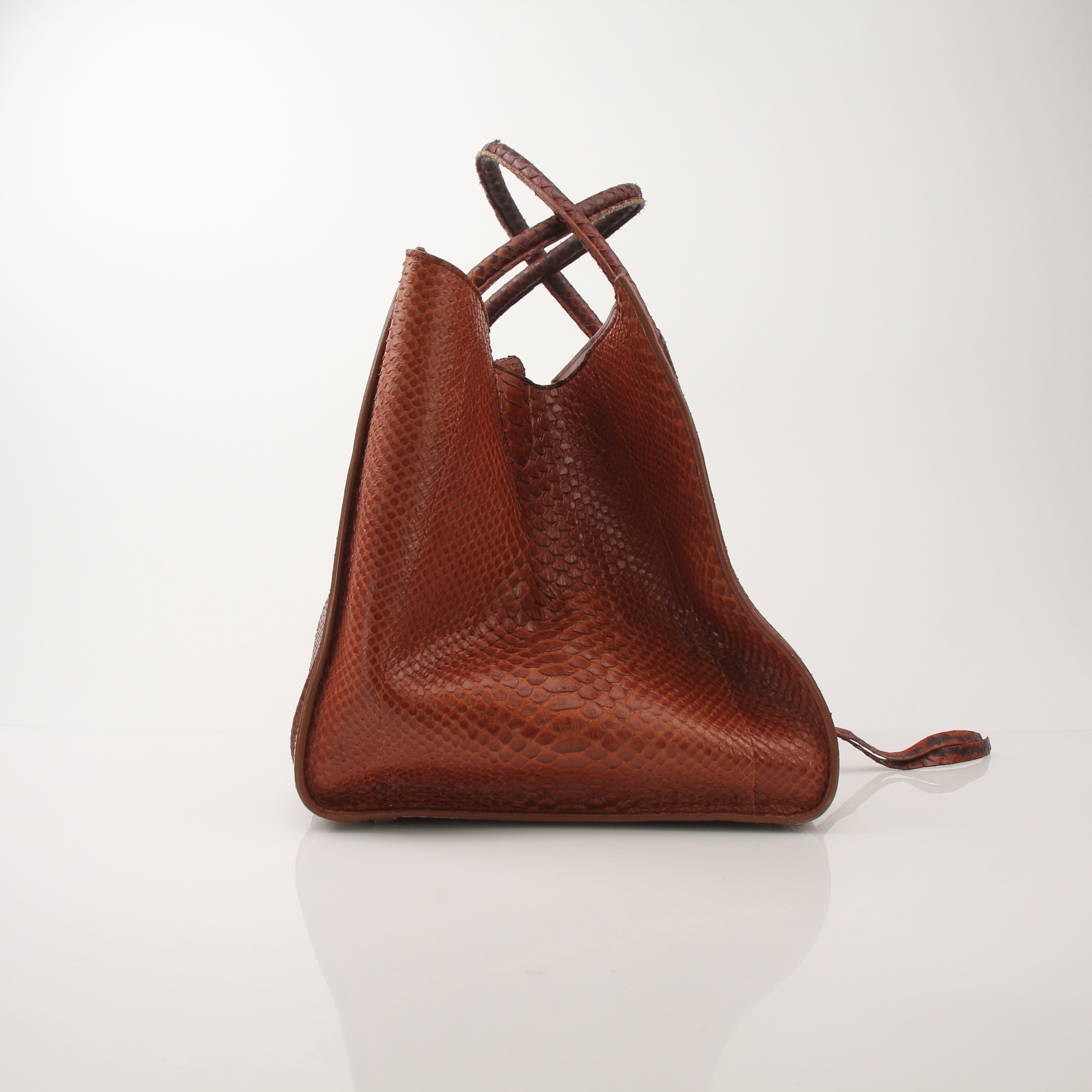 Celine Phantom Brown Python Tote Bag