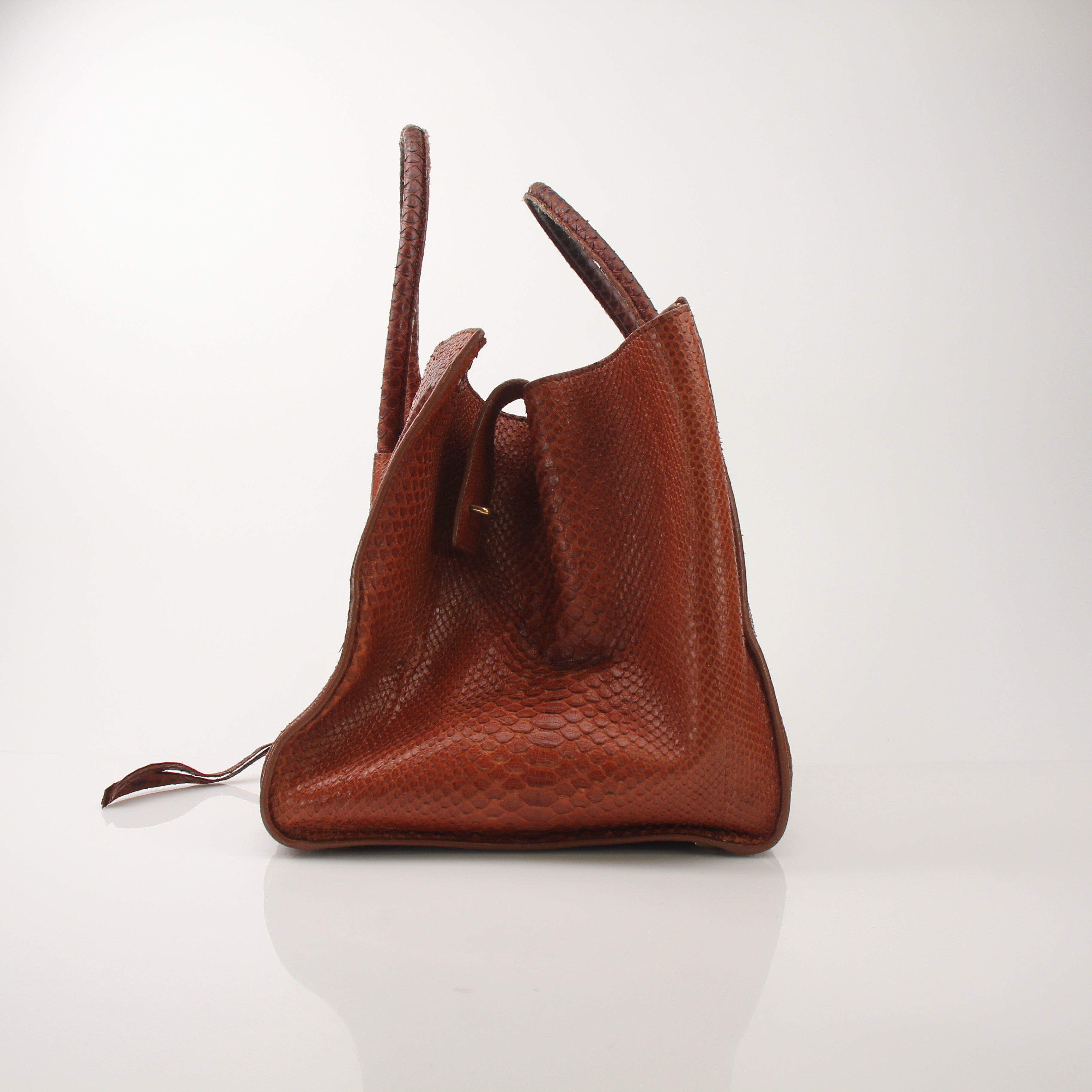 Celine Phantom Brown Python Tote Bag