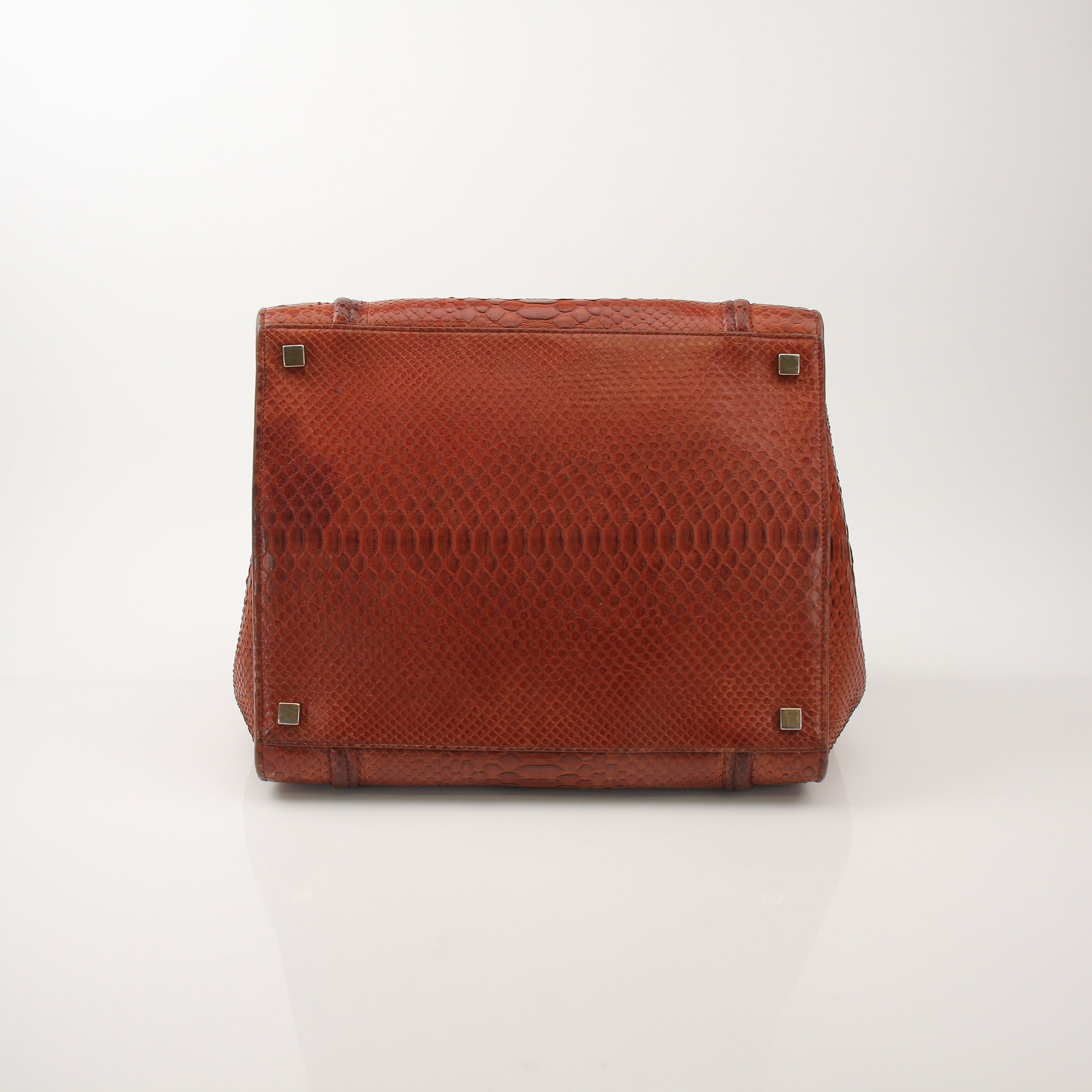 Celine Phantom Brown Python Tote Bag